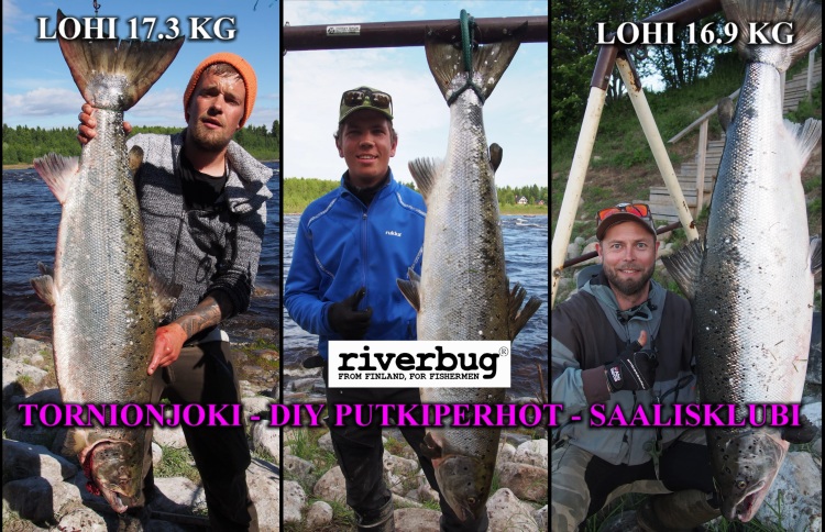 Tornionjoki - Matkakoski SPINFLUGA - RiverBug putkiperhojen saalisklubin palautteita kaudelta 2019! #tornionjoki #matkakoski #putkiperhot #riverbug PERHOKALASTUS / PERHONSIDONTA / SPINFLUGA TARVIKKEET OULU - KALASTUS KIRPPUTORI - RIVERBUG PUTKIPERHOT - suomalainen verkkokauppa: www.riverbug.fi #PERHOKALASTUS #PERHONSIDONTA #SPINFLUGA #OULUJOKI #OULU #OULUKALASTUSVÄLINEET #KALASTUSVÄLINEETOULU #PUTKIPERHOT #KALASTUSOPAS #ILMAINEN #PERHONSIDONTAVIDEOT #RIVERBUG #MADEINSUOMI #HALPAPERHO #TORNIONJOKIPERHO #MALLIPERHO #KYMIJOKIPERHOT #PUTKIPERHOTCOM #PERHOKALASTUSFIN #OTTIPERHO #TUBEFLY #TUBFLUGA #TORNIONJOKISPINFLUGA #OULUJOKISPINFLUGA #SPINFLUGA